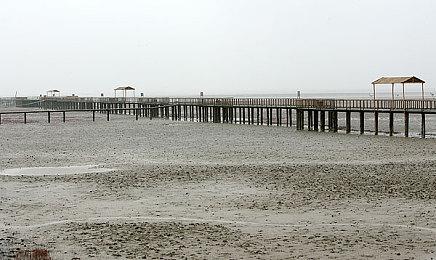 《艾尔登法环》明晚10点公布实机演示 时长为15分钟